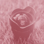 Producciones Sostenibles